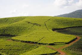 Promoting sustainable tourism